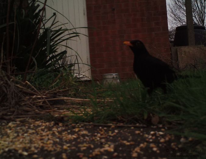 M2E86L187-187R427B294