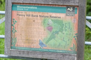 Penny Hill Sign