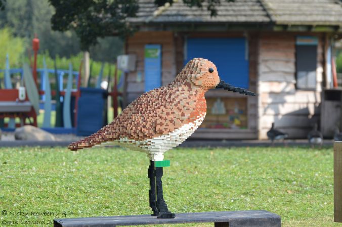 spoon-billed-sandpiper