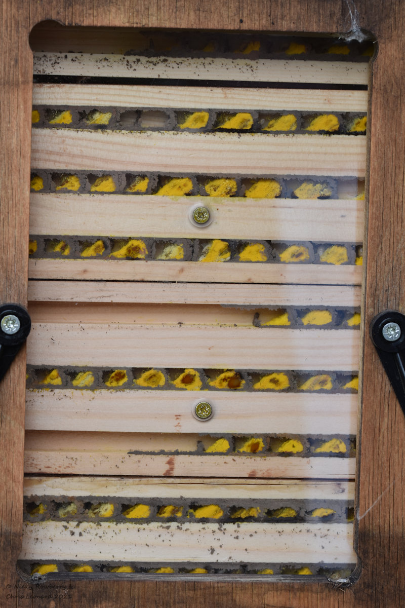 full mason bee house